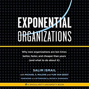 Salim Ismail et. al. – Exponential organizations