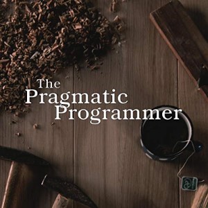 A pragmatic programmer has to be an inquisitive, realistic critical thinker and fast adapter that is open to new perspectives and technologies